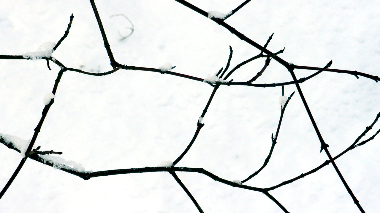 2021-01-30 Wasser in der Sp�le II (Remix Sonatas & Interludes, On-Off) (Komposition, Remix, Recording, Foto)