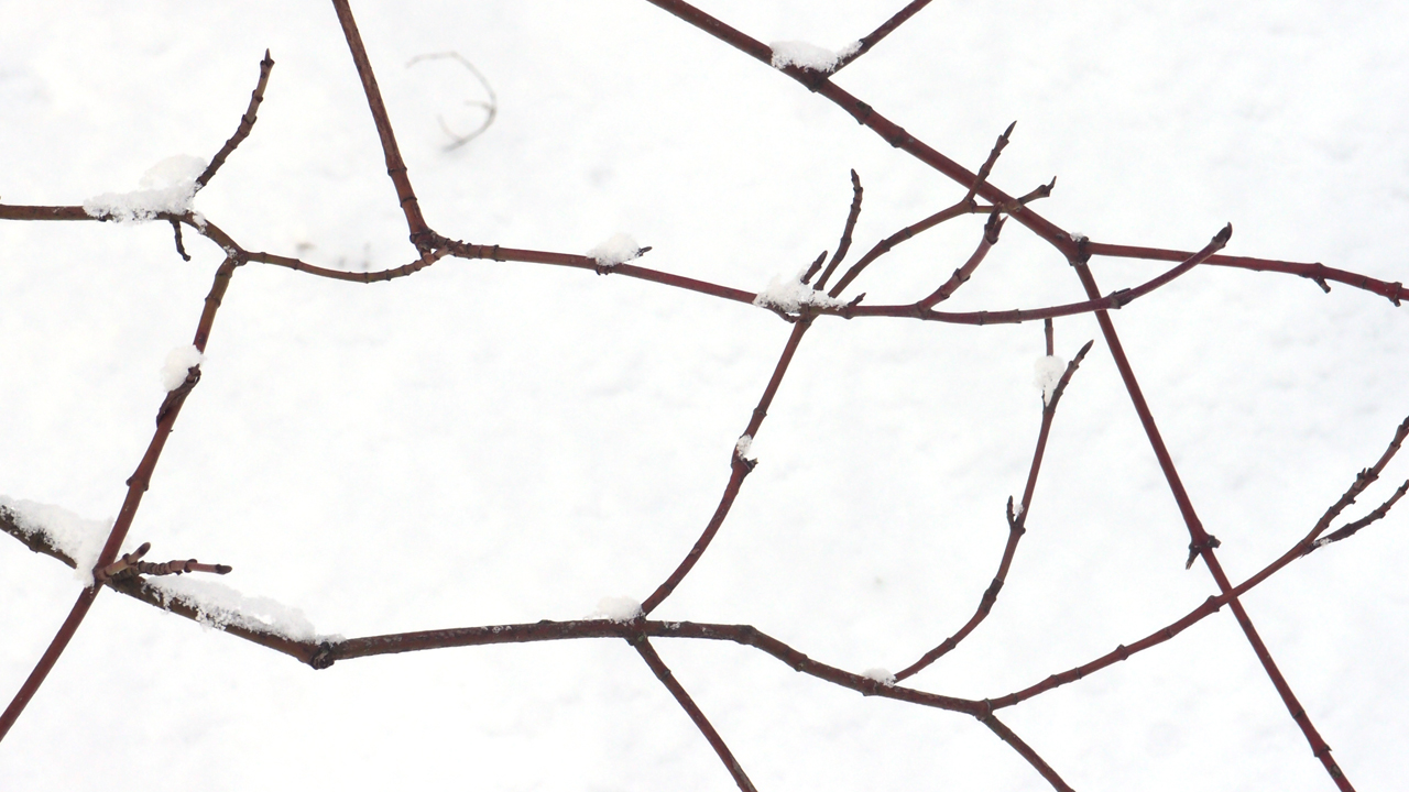 2021-01-30 Wasser in der Sp�le II (Remix Sonatas & Interludes, On-Off) (Komposition, Remix, Recording, Foto)