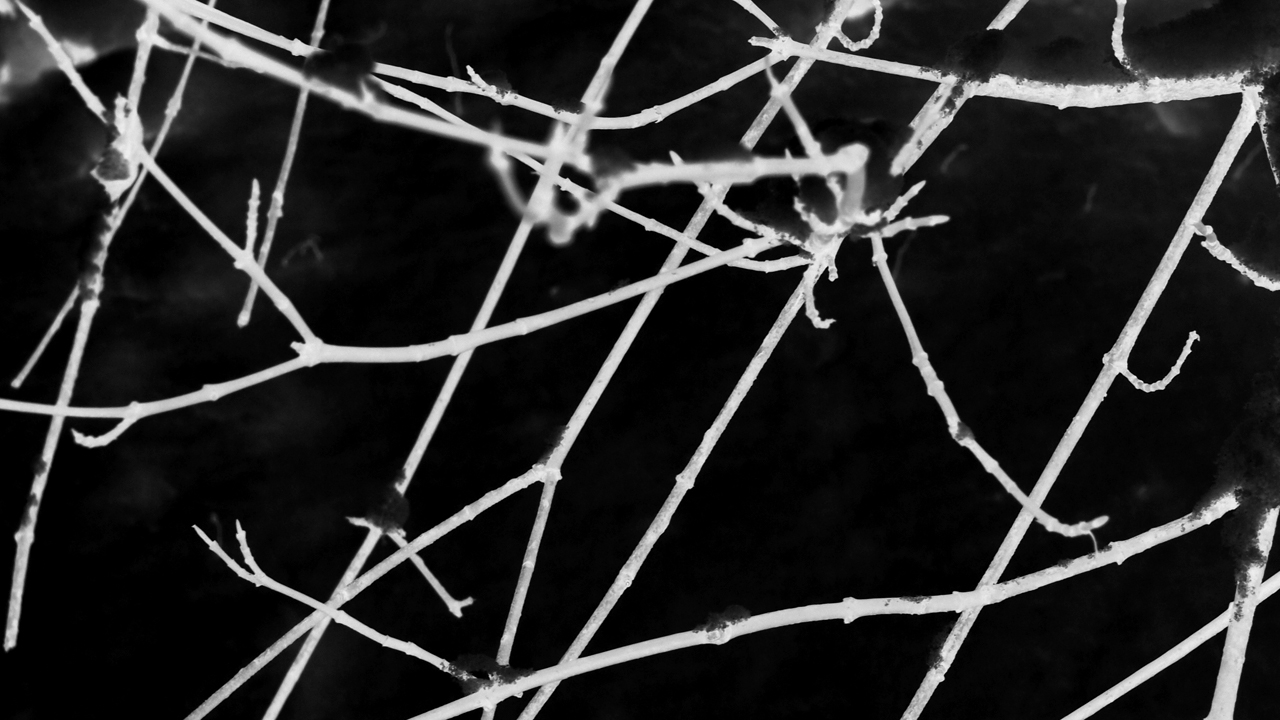 2021-01-30 Wasser in der Sp�le II (Remix Sonatas & Interludes, On-Off) (Komposition, Remix, Recording, Foto)