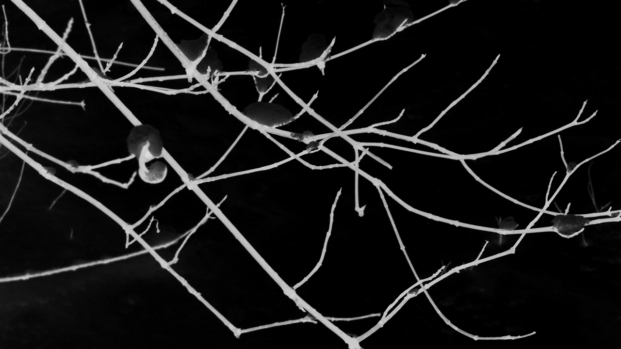 2021-01-30 Wasser in der Sp�le II (Remix Sonatas & Interludes, On-Off) (Komposition, Remix, Recording, Foto)