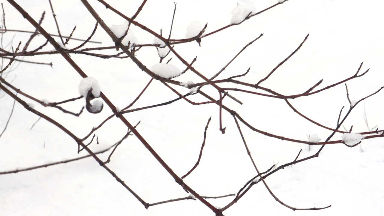 2021-01-30 Wasser in der Sp�le II (Remix Sonatas & Interludes, On-Off) (Komposition, Remix, Recording, Foto)