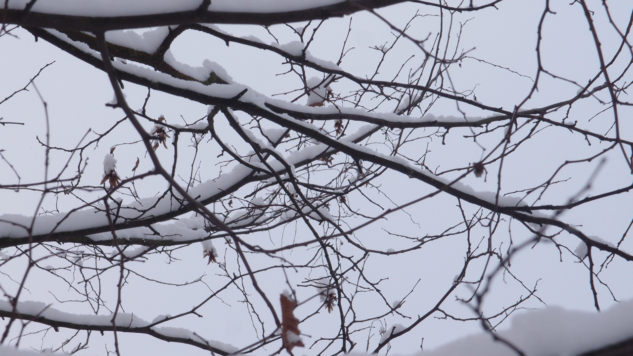 2021-01-30 Wasser in der Sp�le II (Remix Sonatas & Interludes, On-Off) (Komposition, Remix, Recording, Foto)