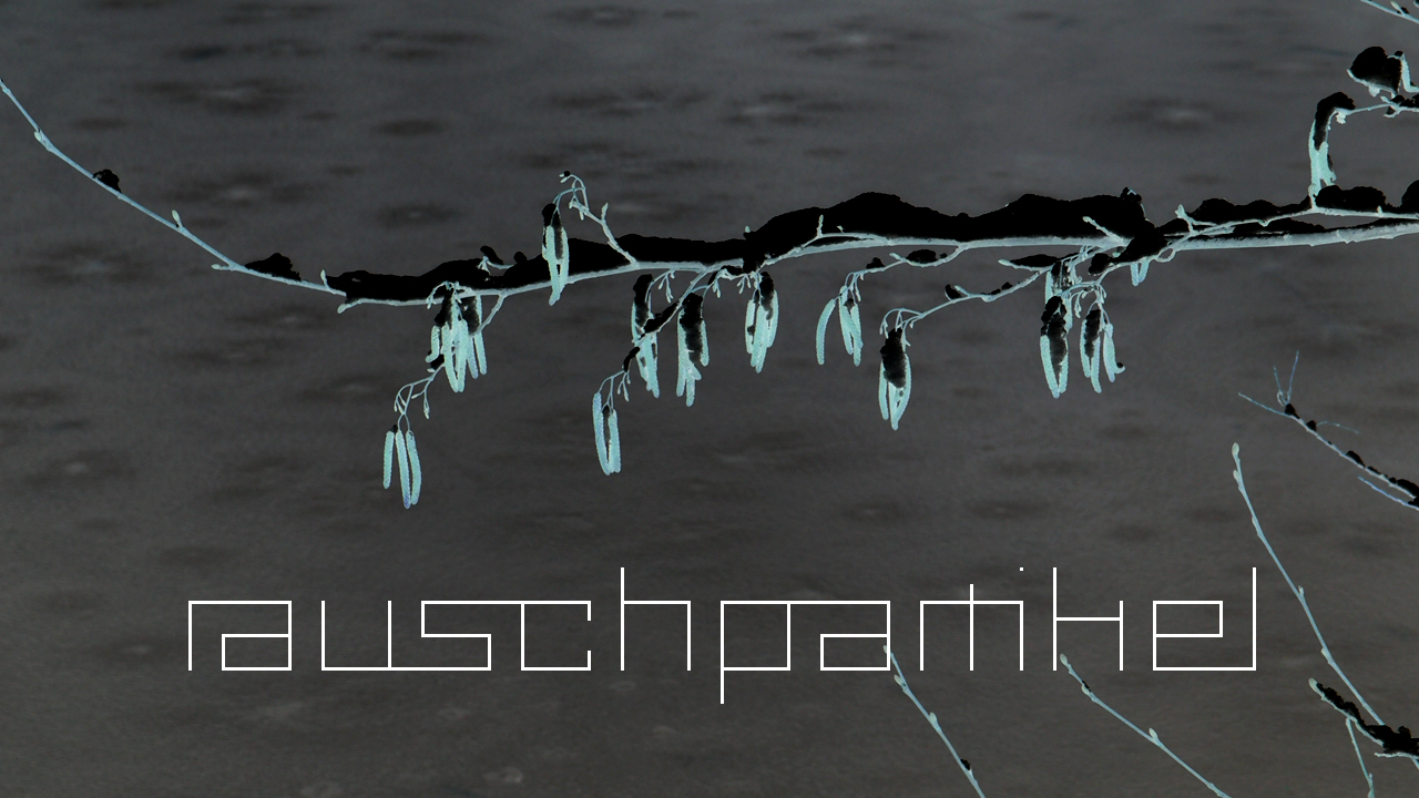 2021-01-30 Wasser in der Sp�le II (Remix Sonatas & Interludes, On-Off) (Komposition, Remix, Recording, Foto)