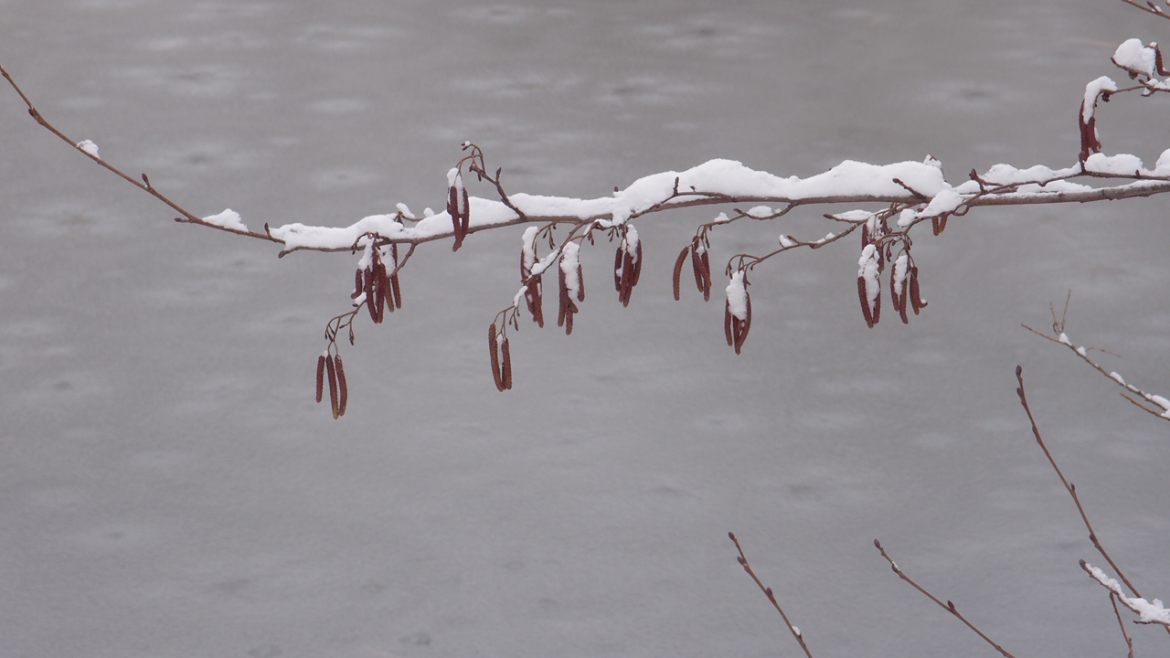 2021-01-30 Wasser in der Sp�le II (Remix Sonatas & Interludes, On-Off) (Komposition, Remix, Recording, Foto)