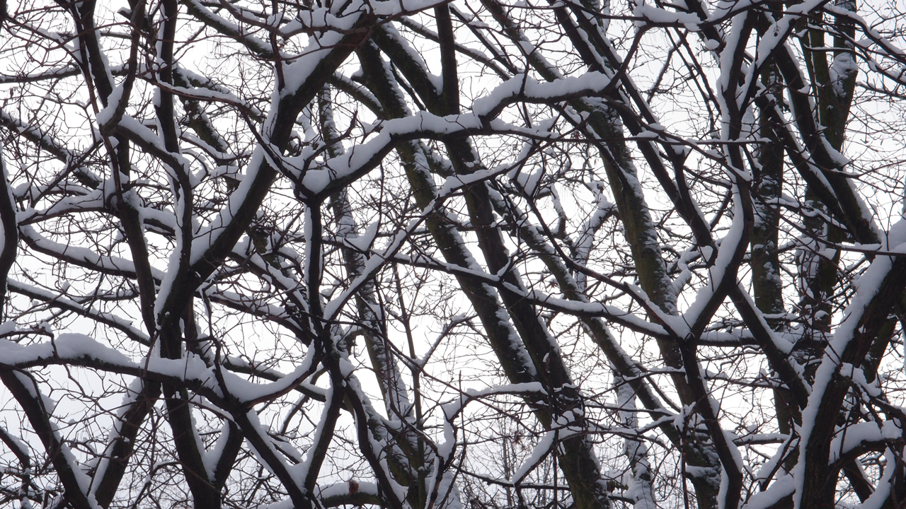 2021-01-30 Wasser in der Sp�le II (Remix Sonatas & Interludes, On-Off) (Komposition, Remix, Recording, Foto)