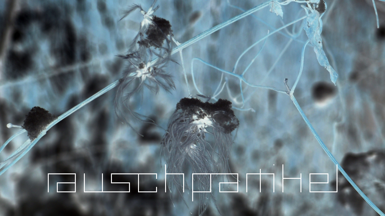 2021-01-30 Wasser in der Sp�le II (Remix Sonatas & Interludes, On-Off) (Komposition, Remix, Recording, Foto)