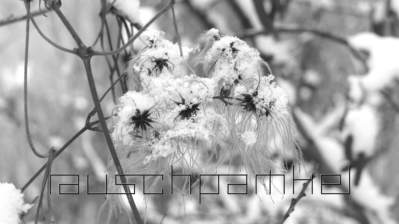 2021-01-30 Wasser in der Sp�le II (Remix Sonatas & Interludes, On-Off) (Komposition, Remix, Recording, Foto)