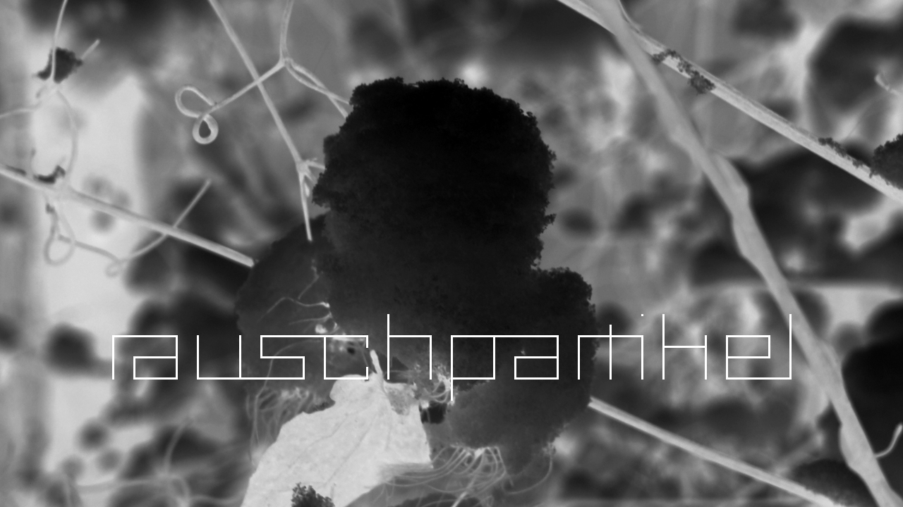 2021-01-30 Wasser in der Sp�le II (Remix Sonatas & Interludes, On-Off) (Komposition, Remix, Recording, Foto)