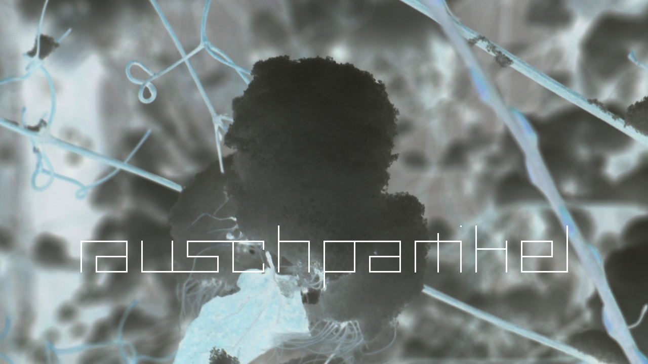 2021-01-30 Wasser in der Sp�le II (Remix Sonatas & Interludes, On-Off) (Komposition, Remix, Recording, Foto)