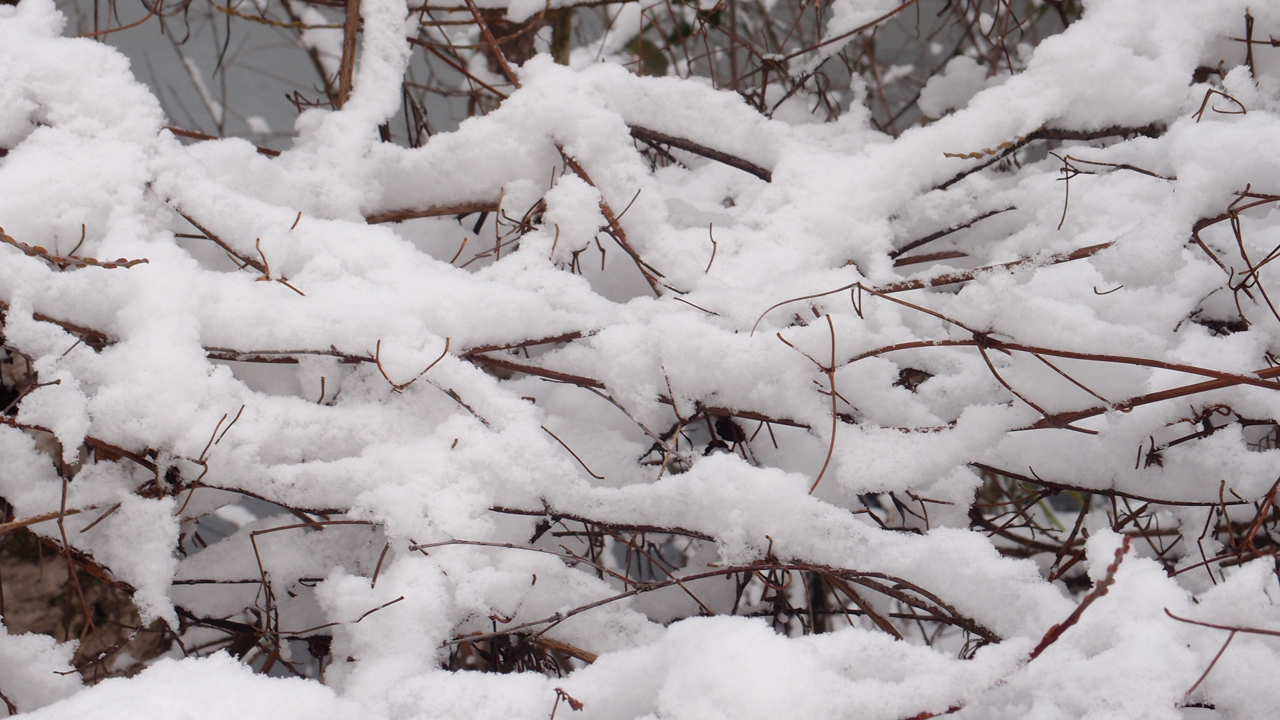 2021-01-30 Wasser in der Sp�le II (Remix Sonatas & Interludes, On-Off) (Komposition, Remix, Recording, Foto)