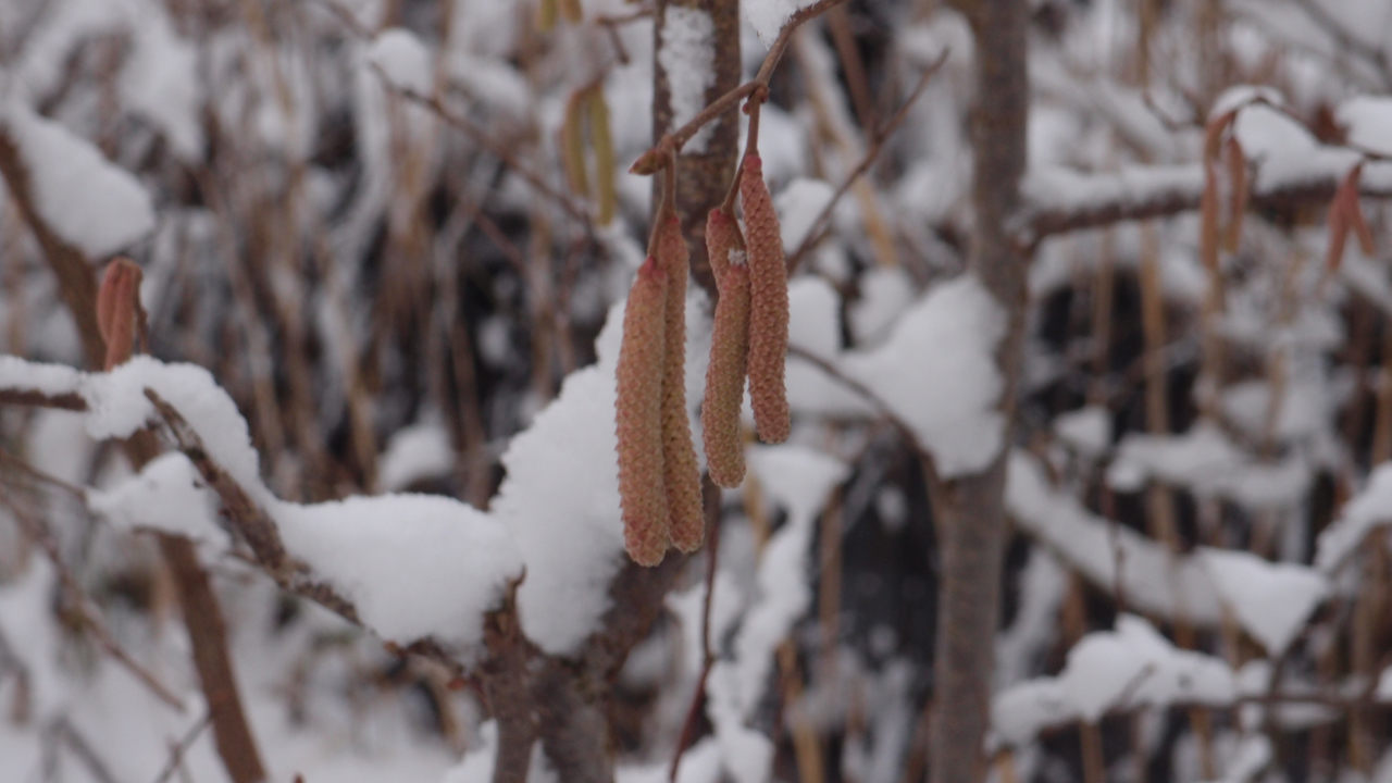 2021-01-30 Wasser in der Sp�le II (Remix Sonatas & Interludes, On-Off) (Komposition, Remix, Recording, Foto)