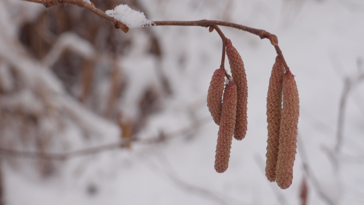 2021-01-30 Wasser in der Sp�le II (Remix Sonatas & Interludes, On-Off) (Komposition, Remix, Recording, Foto)