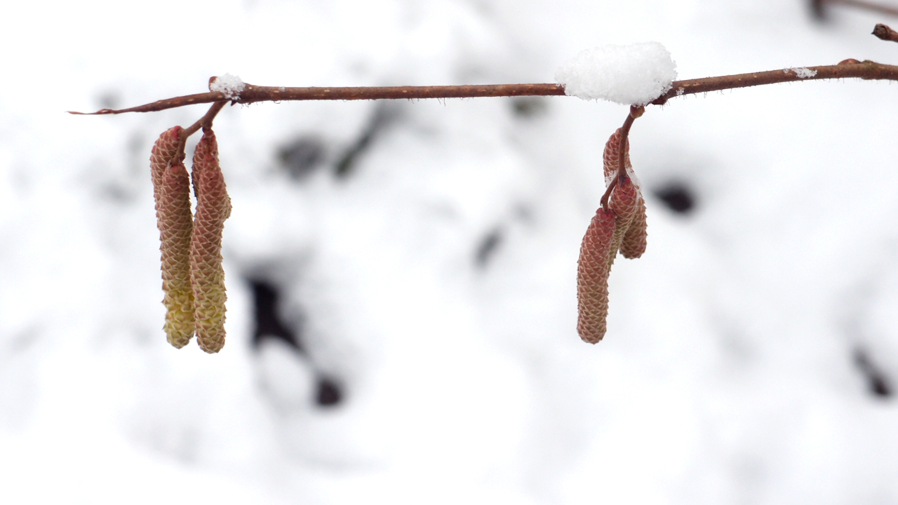 2021-01-30 Wasser in der Sp�le II (Remix Sonatas & Interludes, On-Off) (Komposition, Remix, Recording, Foto)