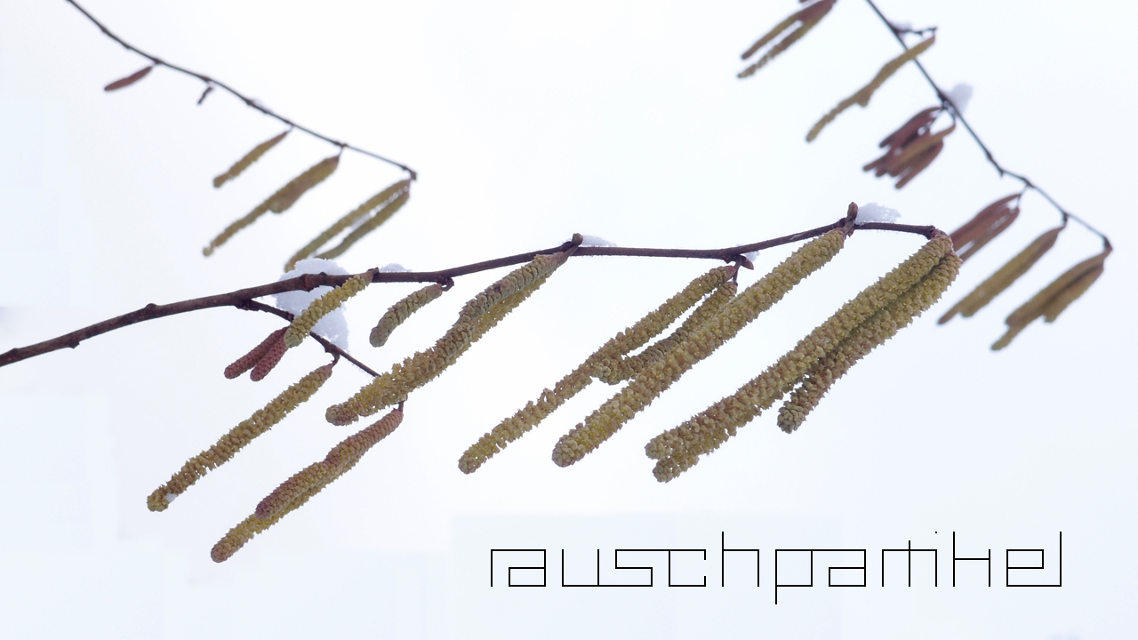 2021-01-30 Wasser in der Sp�le II (Remix Sonatas & Interludes, On-Off) (Komposition, Remix, Recording, Foto)