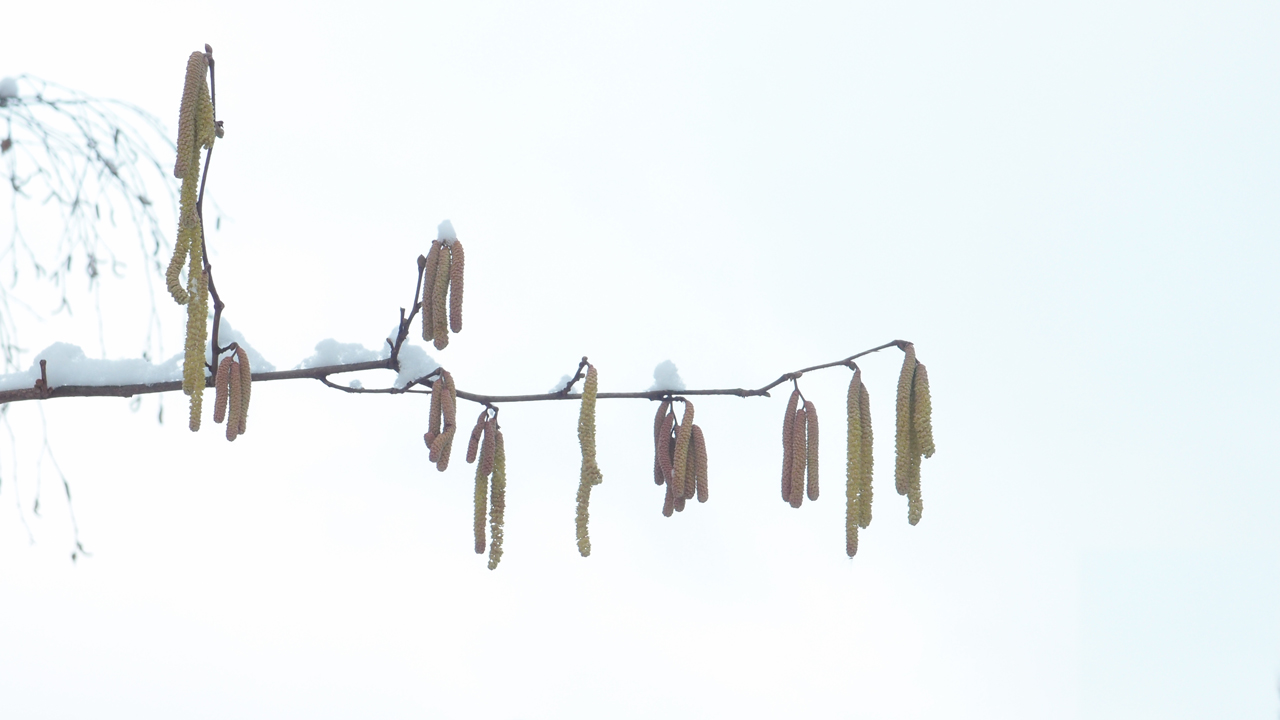 2021-01-30 Wasser in der Sp�le II (Remix Sonatas & Interludes, On-Off) (Komposition, Remix, Recording, Foto)