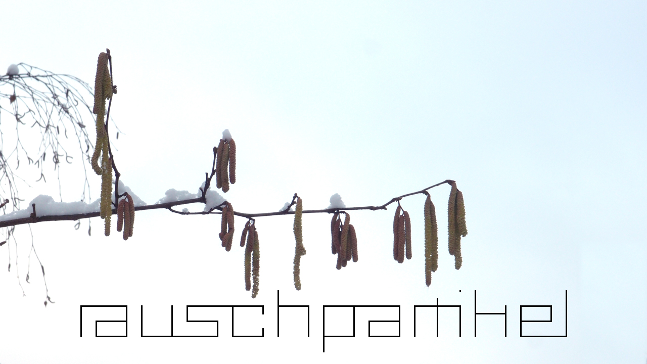 2021-01-30 Wasser in der Sp�le II (Remix Sonatas & Interludes, On-Off) (Komposition, Remix, Recording, Foto)