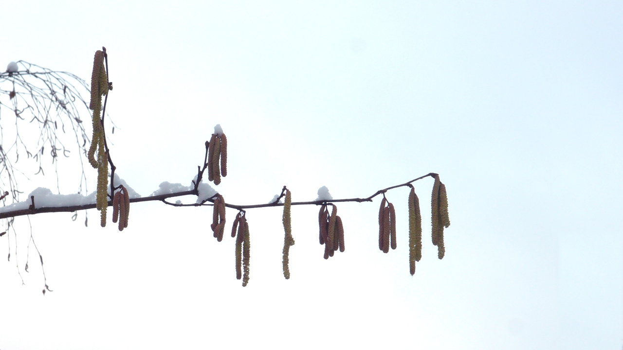 2021-01-30 Wasser in der Sp�le II (Remix Sonatas & Interludes, On-Off) (Komposition, Remix, Recording, Foto)