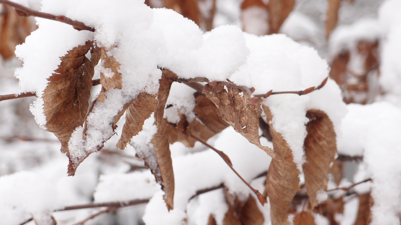 2021-01-30 Wasser in der Sp�le II (Remix Sonatas & Interludes, On-Off) (Komposition, Remix, Recording, Foto)