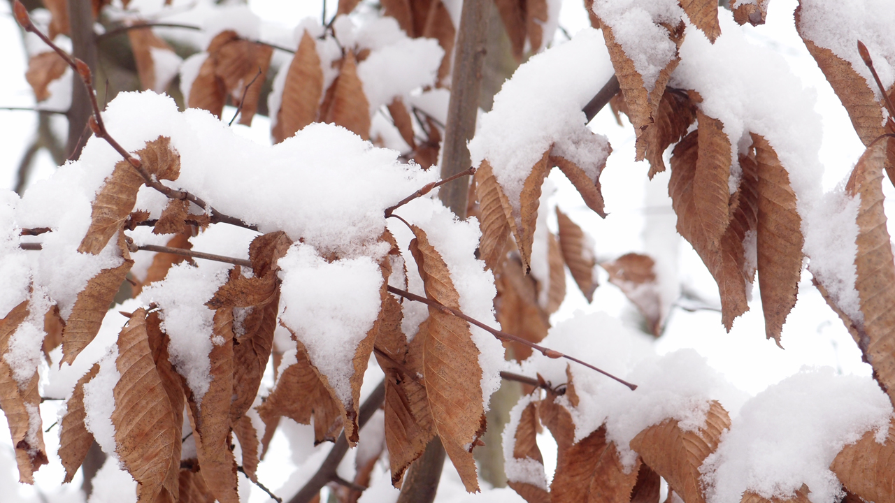 2021-01-30 Wasser in der Sp�le II (Remix Sonatas & Interludes, On-Off) (Komposition, Remix, Recording, Foto)