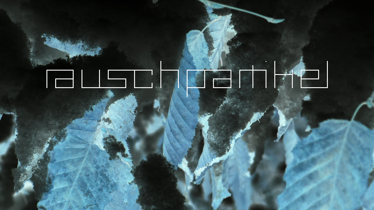 2021-01-30 Wasser in der Sp�le II (Remix Sonatas & Interludes, On-Off) (Komposition, Remix, Recording, Foto)