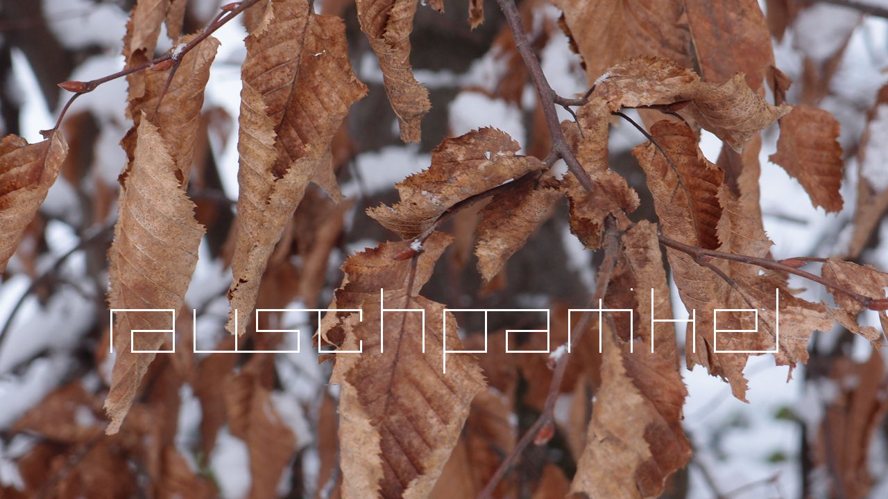 2021-01-30 Wasser in der Sp�le II (Remix Sonatas & Interludes, On-Off) (Komposition, Remix, Recording, Foto)