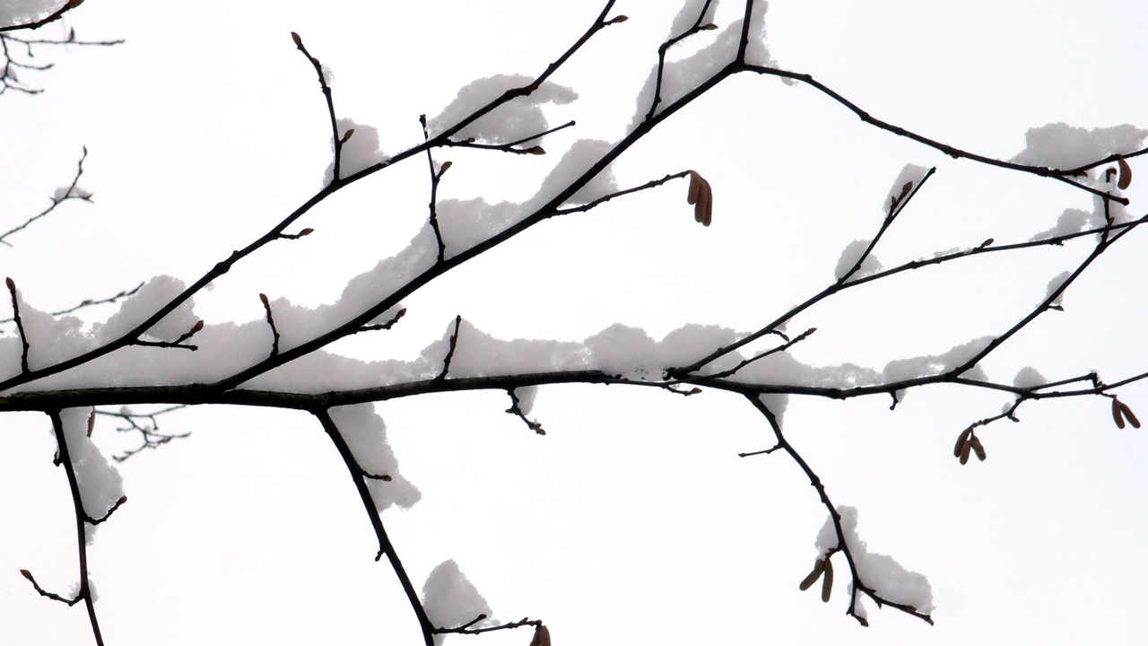 2021-01-30 Wasser in der Sp�le II (Remix Sonatas & Interludes, On-Off) (Komposition, Remix, Recording, Foto)