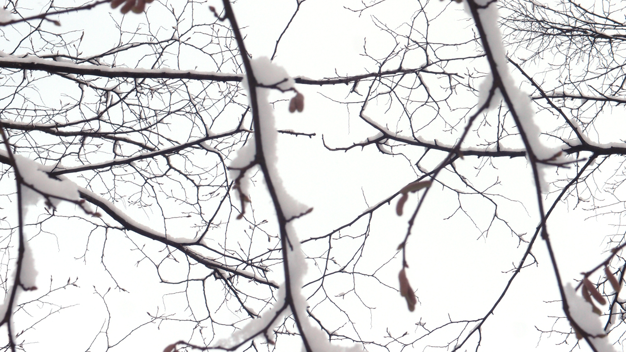 2021-01-30 Wasser in der Sp�le II (Remix Sonatas & Interludes, On-Off) (Komposition, Remix, Recording, Foto)