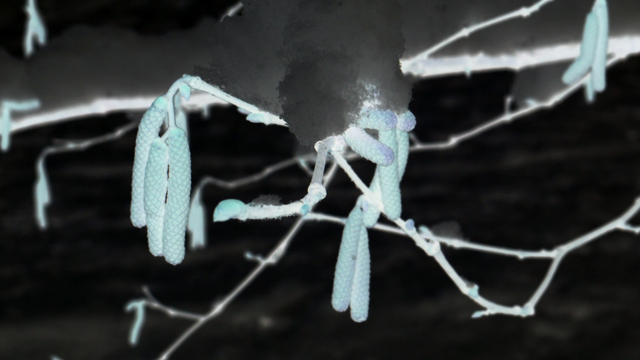 2021-01-30 Wasser in der Sp�le II (Remix Sonatas & Interludes, On-Off) (Komposition, Remix, Recording, Foto)