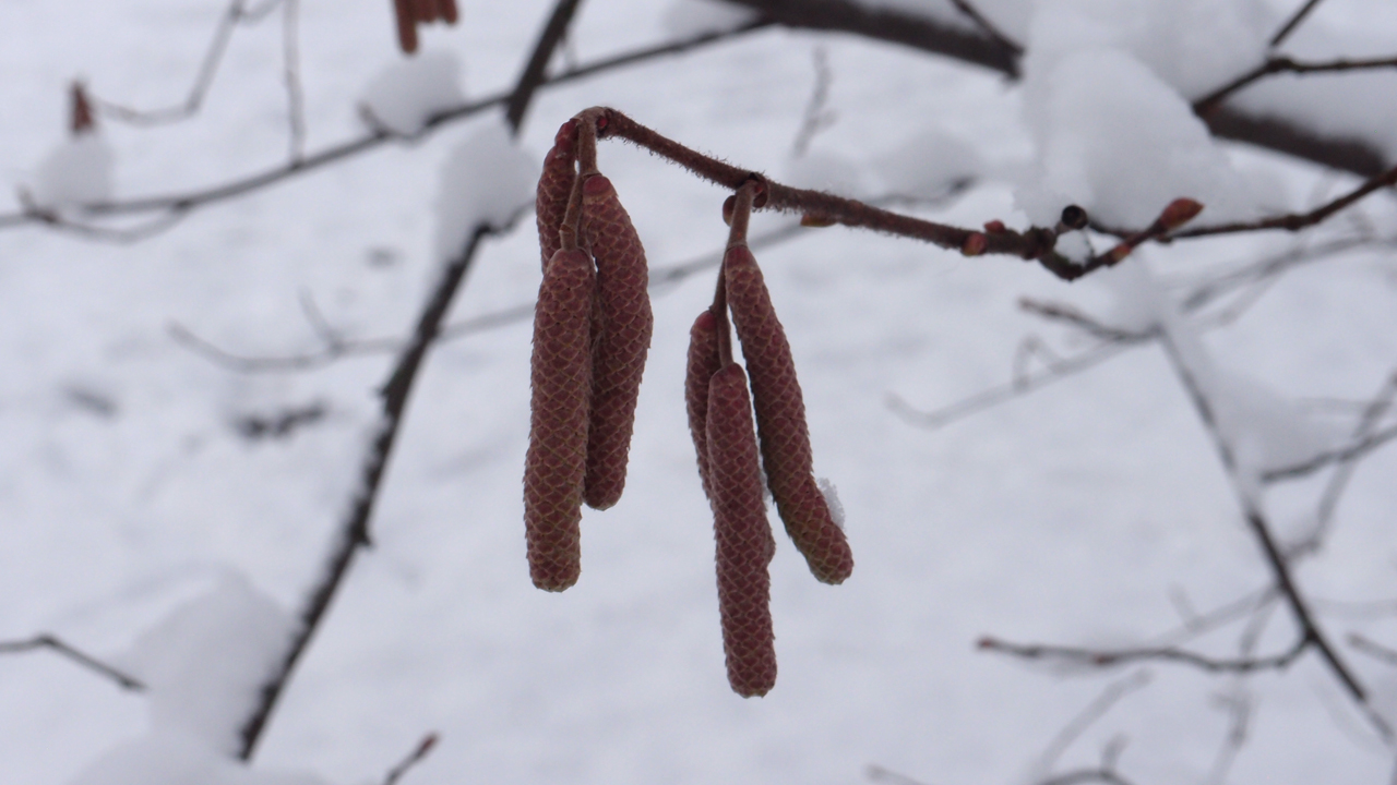 2021-01-30 Wasser in der Sp�le II (Remix Sonatas & Interludes, On-Off) (Komposition, Remix, Recording, Foto)