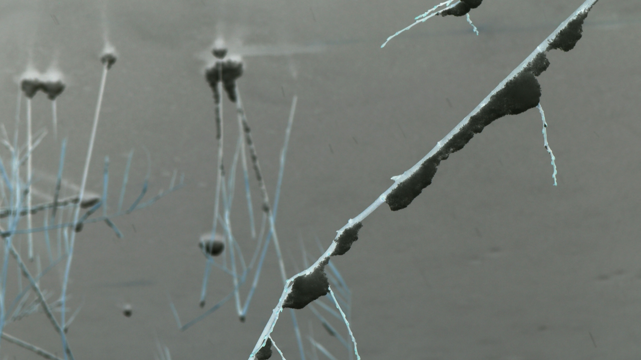 2021-01-30 Wasser in der Sp�le II (Remix Sonatas & Interludes, On-Off) (Komposition, Remix, Recording, Foto)