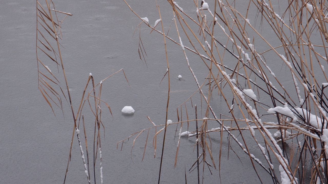 2021-01-30 Wasser in der Sp�le II (Remix Sonatas & Interludes, On-Off) (Komposition, Remix, Recording, Foto)