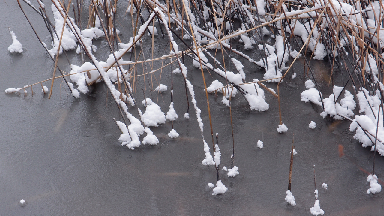 2021-01-30 Wasser in der Sp�le II (Remix Sonatas & Interludes, On-Off) (Komposition, Remix, Recording, Foto)