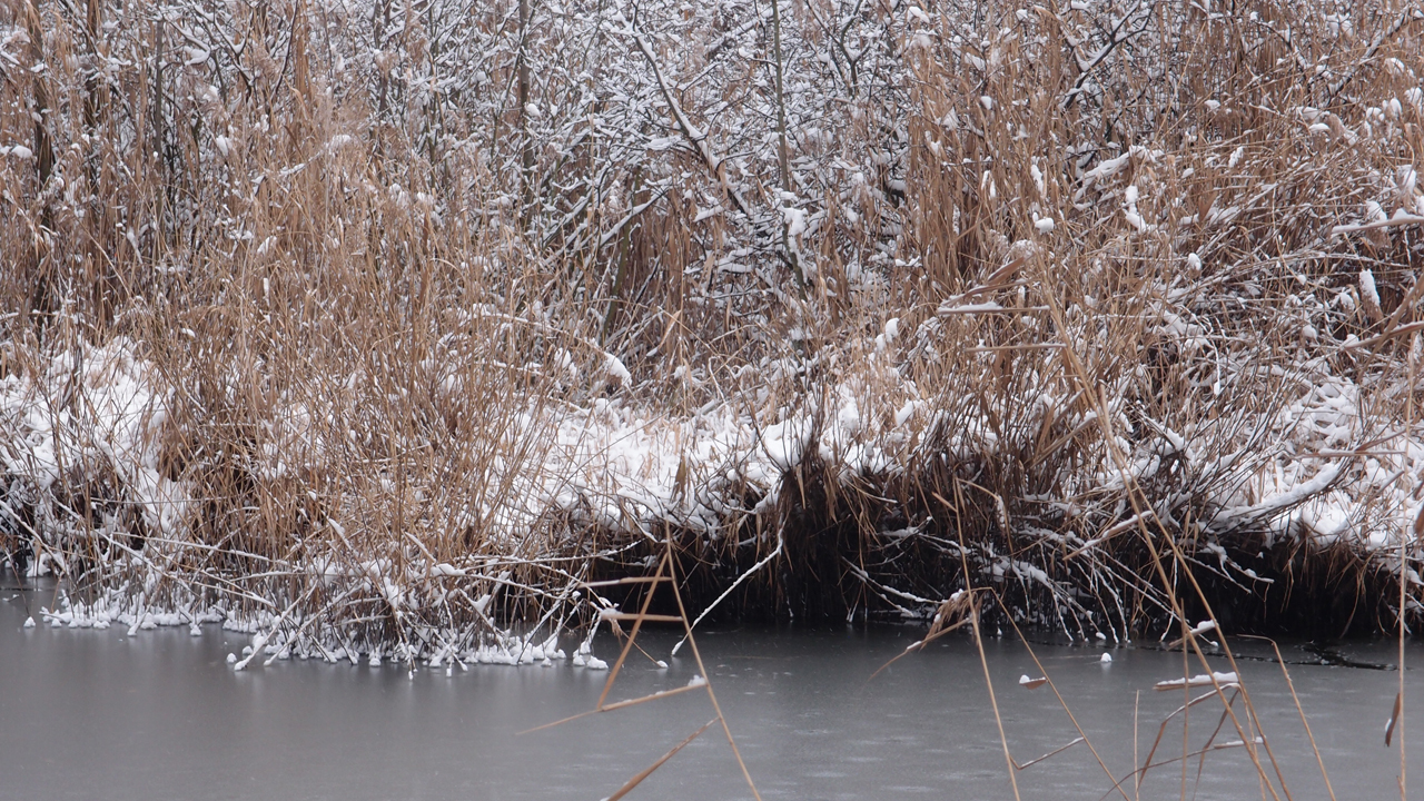 2021-01-30 Wasser in der Sp�le II (Remix Sonatas & Interludes, On-Off) (Komposition, Remix, Recording, Foto)