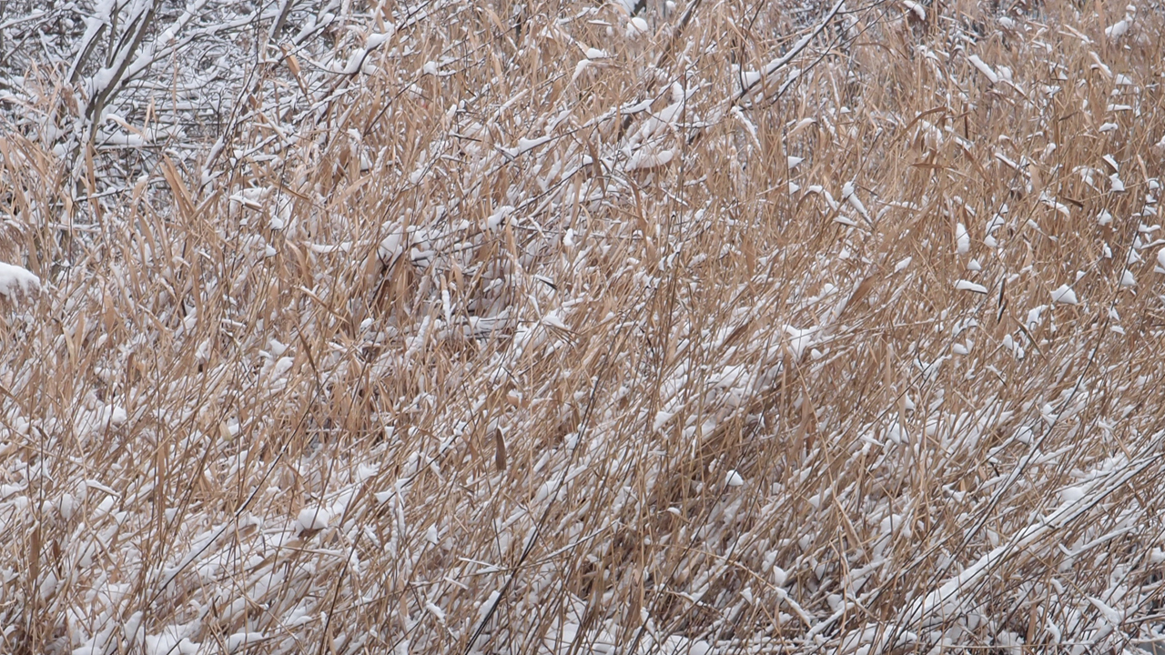 2021-01-30 Wasser in der Sp�le II (Remix Sonatas & Interludes, On-Off) (Komposition, Remix, Recording, Foto)