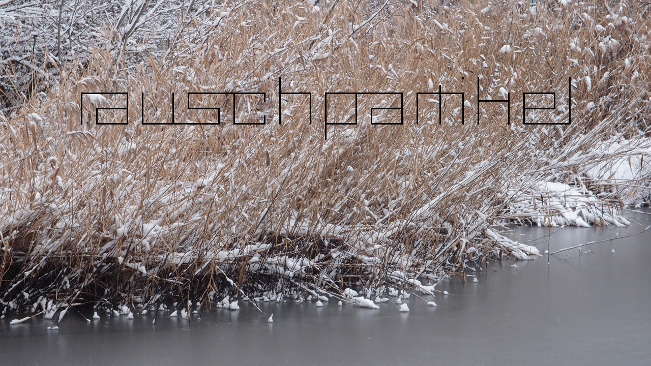 2021-01-30 Wasser in der Sp�le II (Remix Sonatas & Interludes, On-Off) (Komposition, Remix, Recording, Foto)