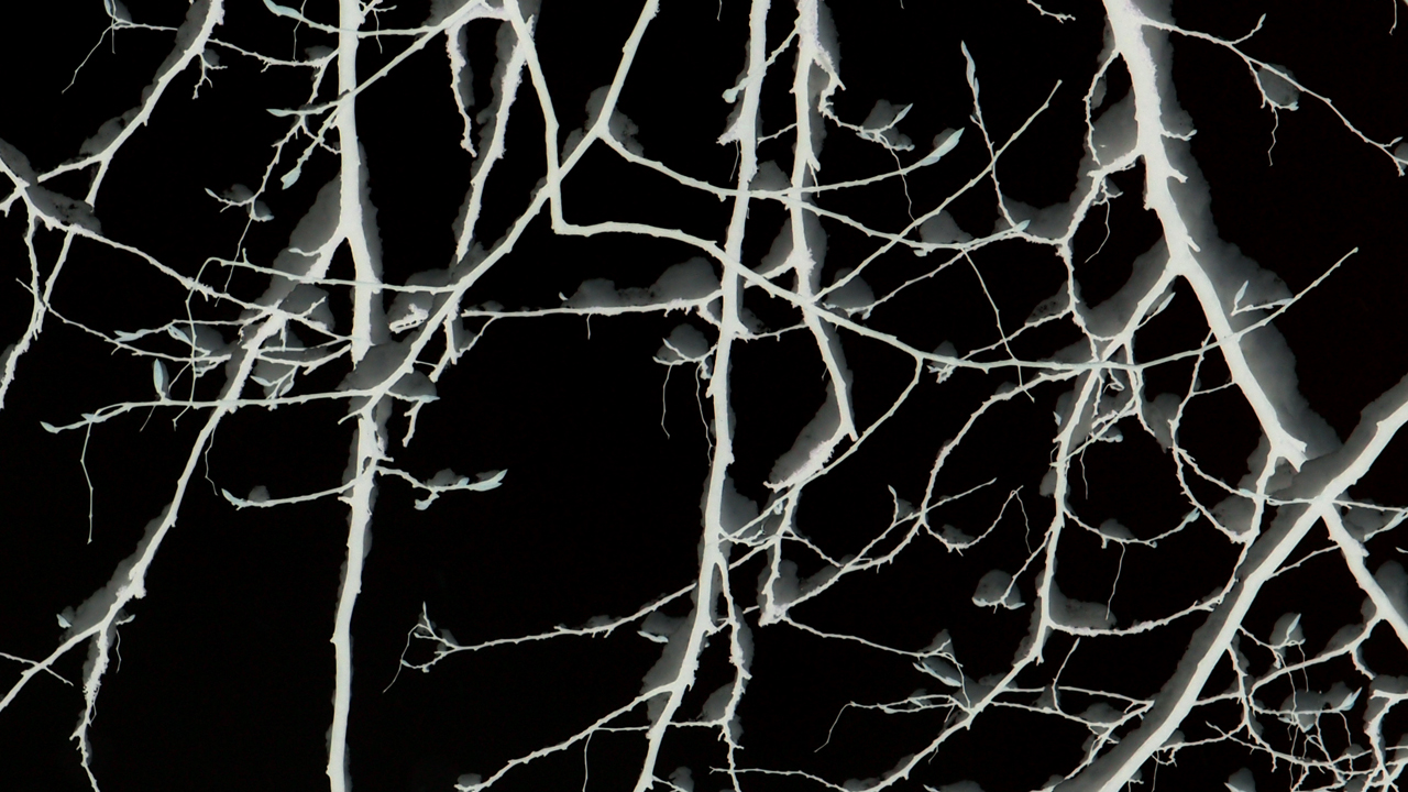 2021-01-30 Wasser in der Sp�le II (Remix Sonatas & Interludes, On-Off) (Komposition, Remix, Recording, Foto)