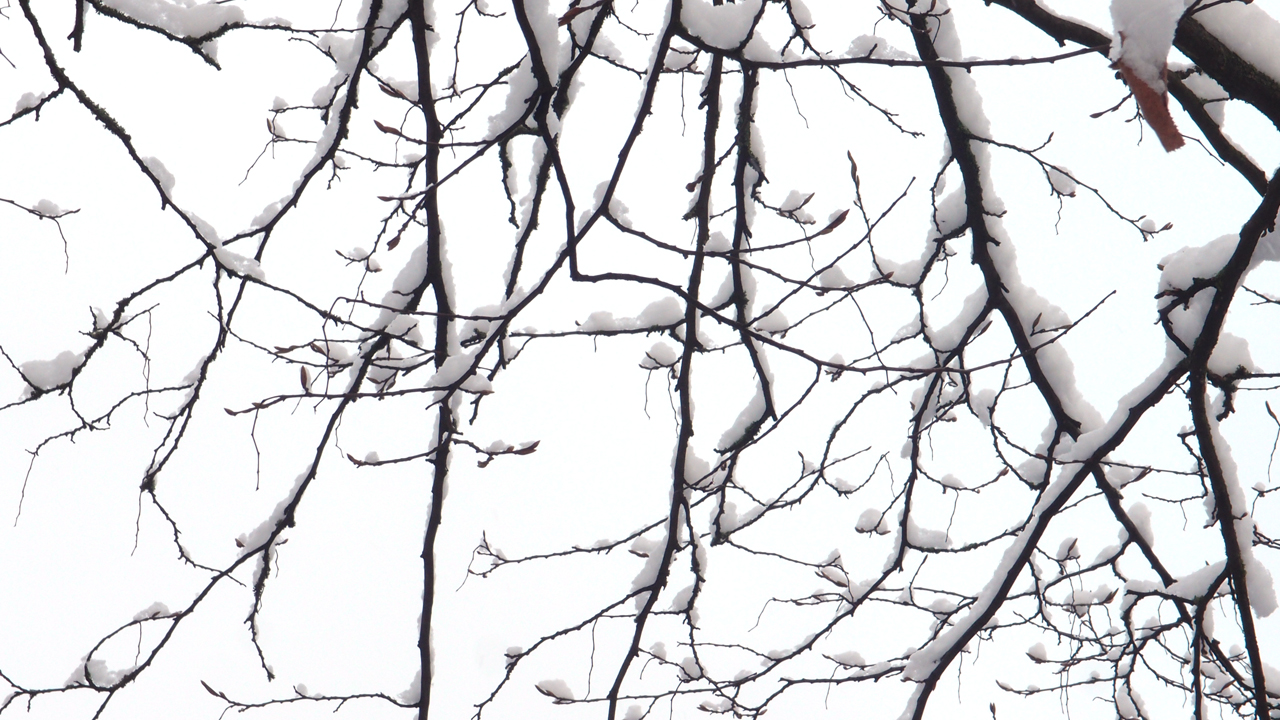 2021-01-30 Wasser in der Sp�le II (Remix Sonatas & Interludes, On-Off) (Komposition, Remix, Recording, Foto)