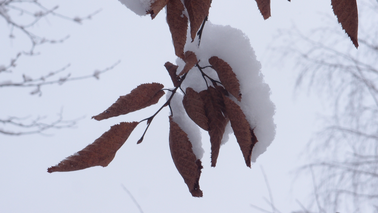 2021-01-30 Wasser in der Sp�le II (Remix Sonatas & Interludes, On-Off) (Komposition, Remix, Recording, Foto)