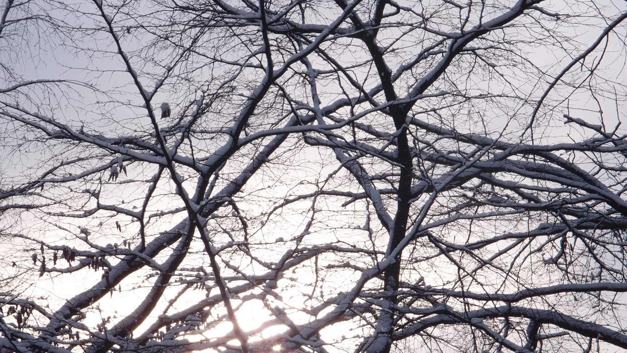 2021-01-30 Wasser in der Sp�le II (Remix Sonatas & Interludes, On-Off) (Komposition, Remix, Recording, Foto)