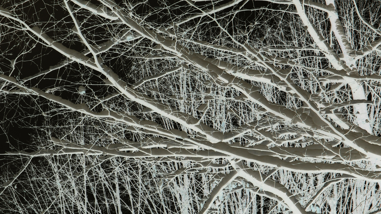 2021-01-30 Wasser in der Sp�le II (Remix Sonatas & Interludes, On-Off) (Komposition, Remix, Recording, Foto)