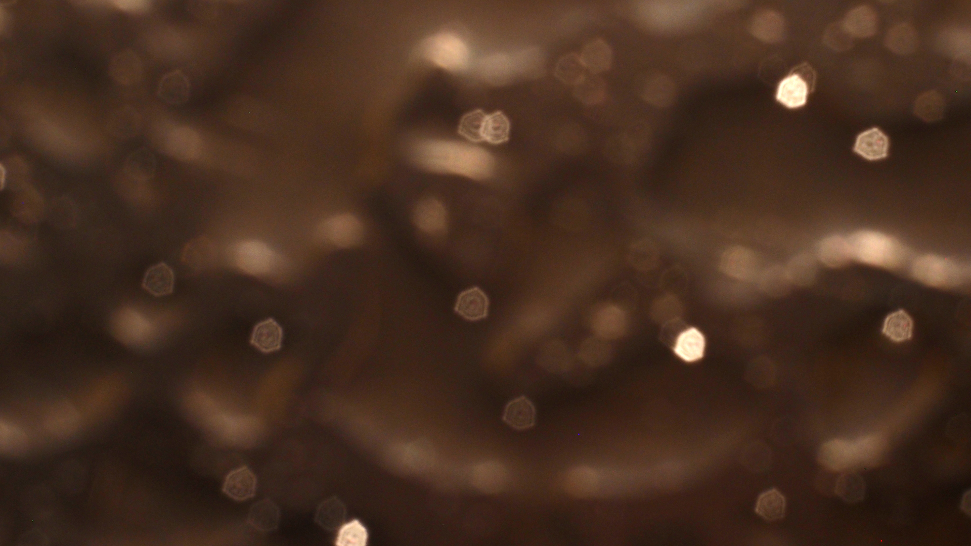 2021-02-02 Wasser in der Sp�le II, On-Off mit Parameterwechsel (Remix John Cage 'Book Of Music') (Komposition, Remix, Recording, Foto)