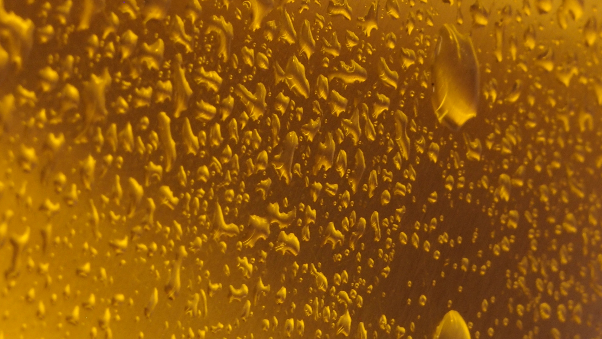 2021-02-02 Wasser in der Sp�le II, On-Off mit Parameterwechsel (Remix John Cage 'Book Of Music') (Komposition, Remix, Recording, Foto)