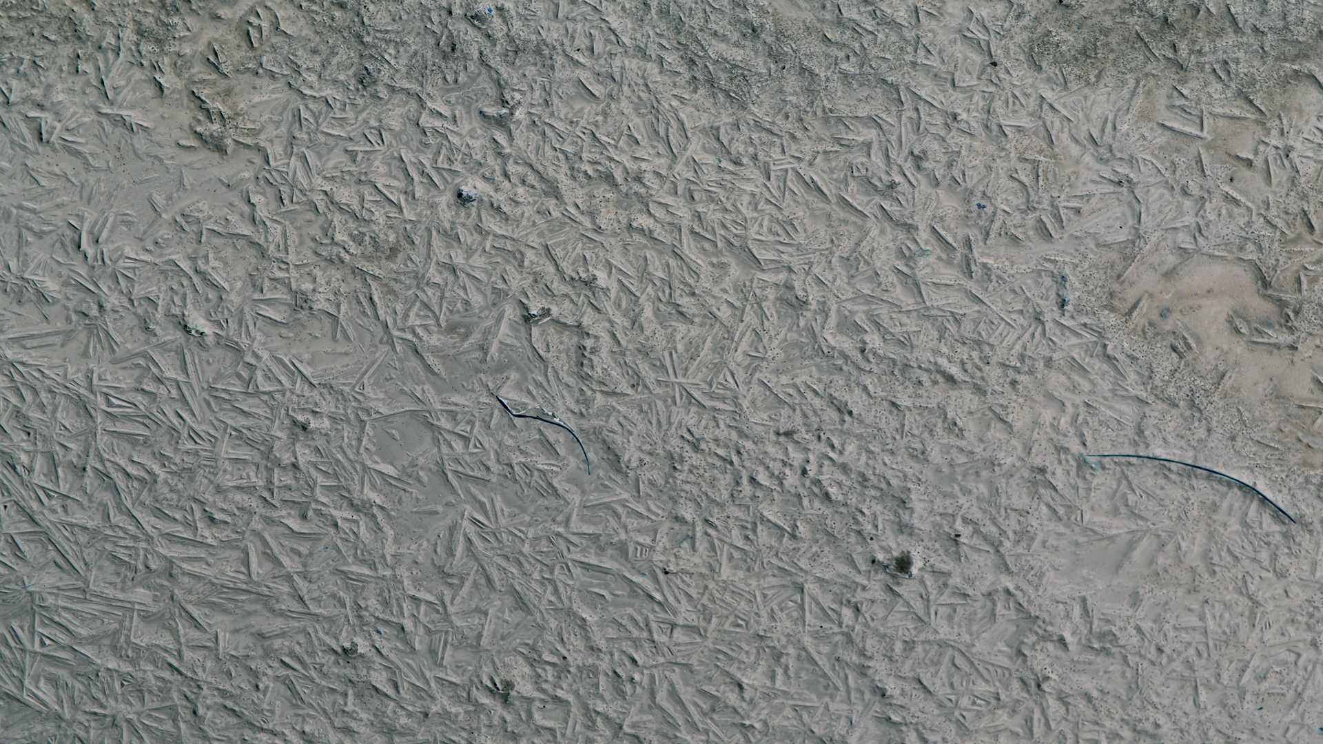 2021-02-02 Wasser in der Sp�le II, On-Off mit Parameterwechsel (Remix John Cage 'Book Of Music') (Komposition, Remix, Recording, Foto)