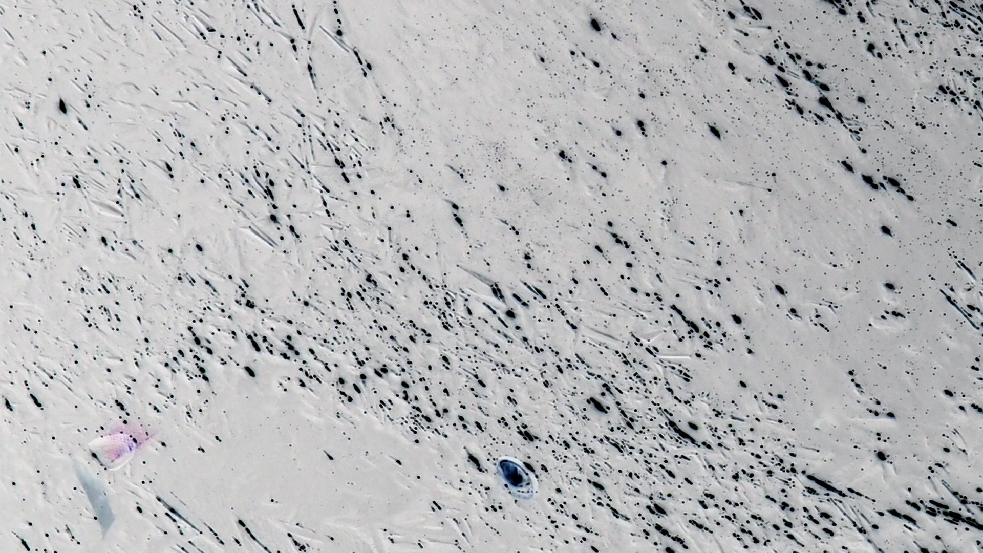 2021-02-02 Wasser in der Sp�le II, On-Off mit Parameterwechsel (Remix John Cage 'Book Of Music') (Komposition, Remix, Recording, Foto)