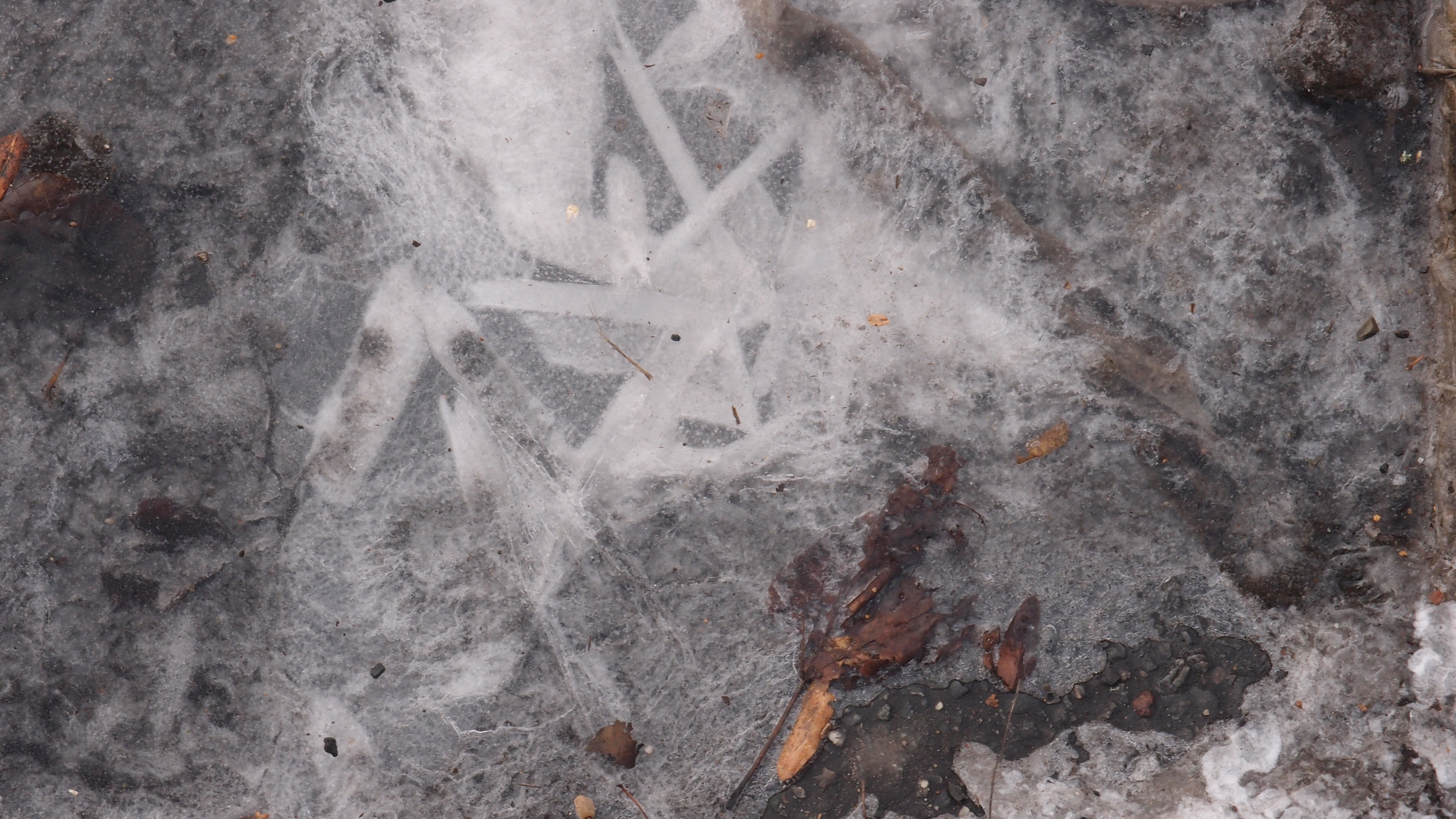 2021-02-02 Wasser in der Sp�le II, On-Off mit Parameterwechsel (Remix John Cage 'Book Of Music') (Komposition, Remix, Recording, Foto)