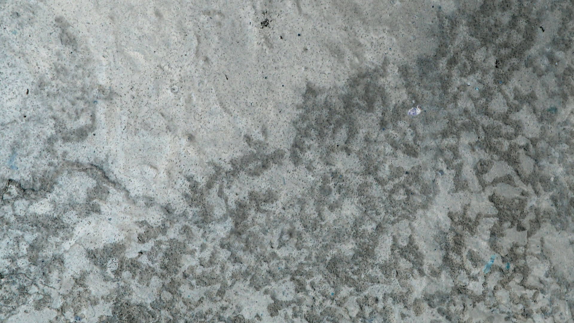 2021-02-02 Wasser in der Sp�le II, On-Off mit Parameterwechsel (Remix John Cage 'Book Of Music') (Komposition, Remix, Recording, Foto)