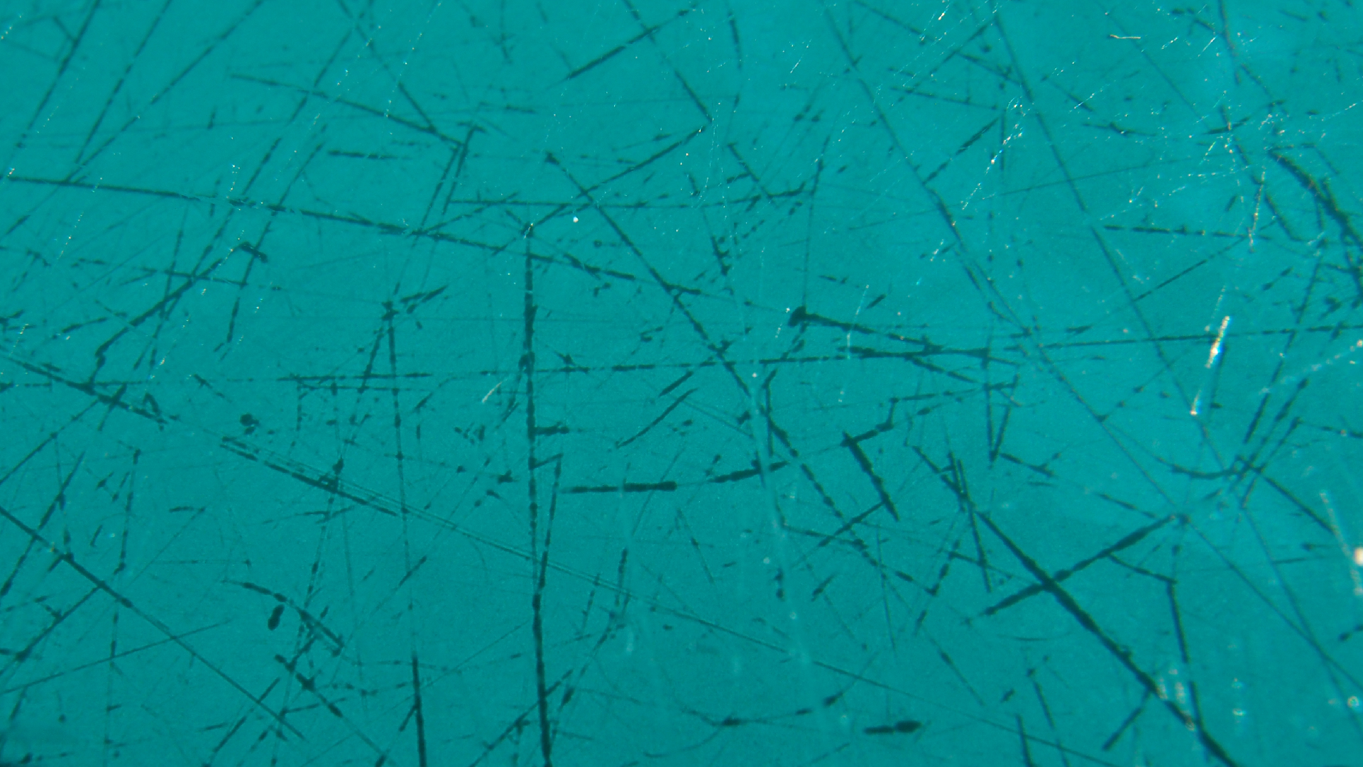 2021-09-30 grüner Tisch (Komposition, Typo Grafik)