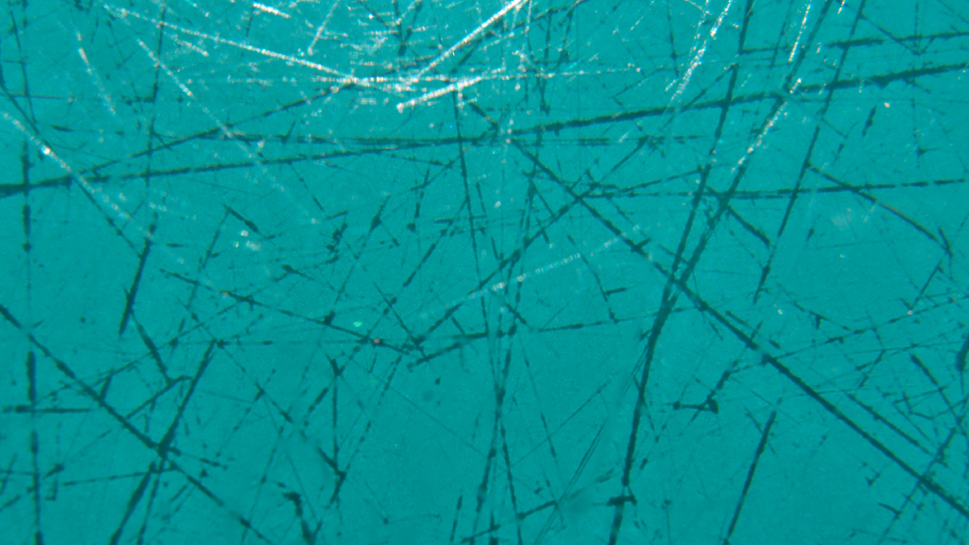 2021-09-30 gr�ner Tisch (Komposition, Typo Grafik)