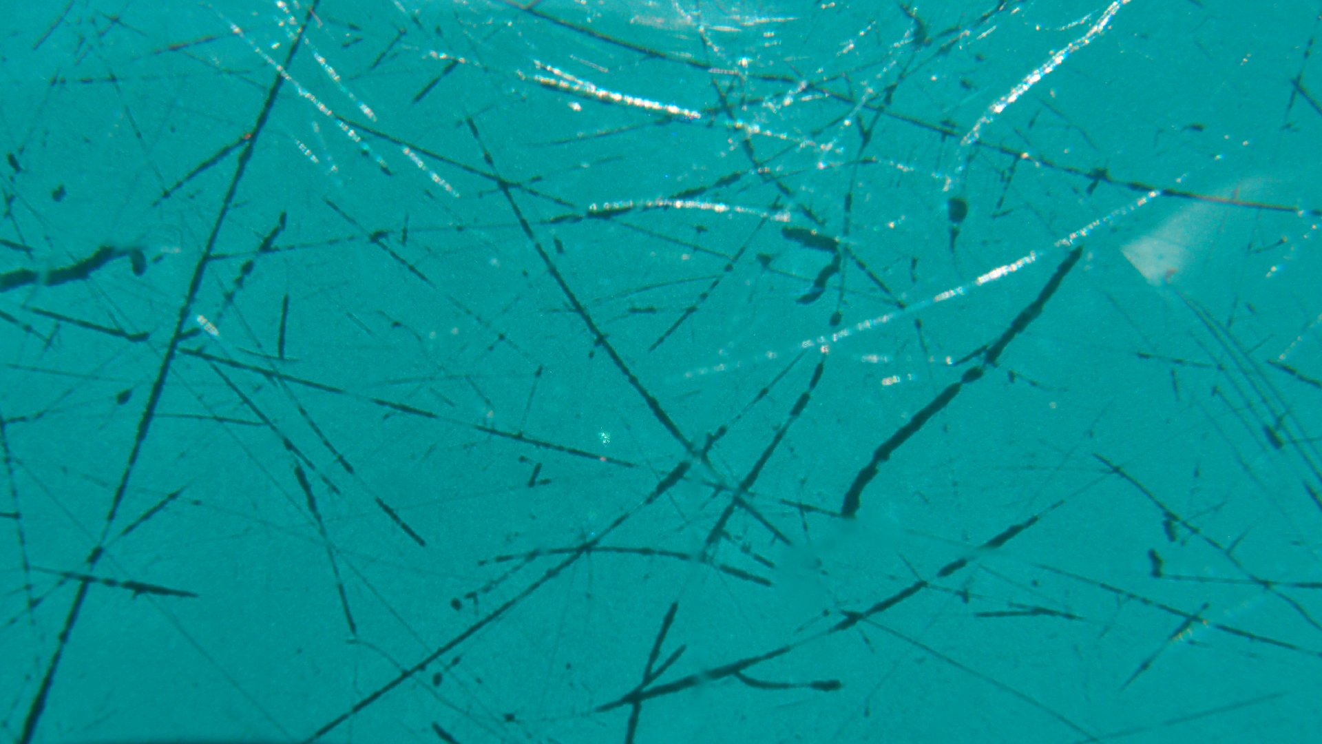 2021-09-30 gr�ner Tisch (Komposition, Typo Grafik)