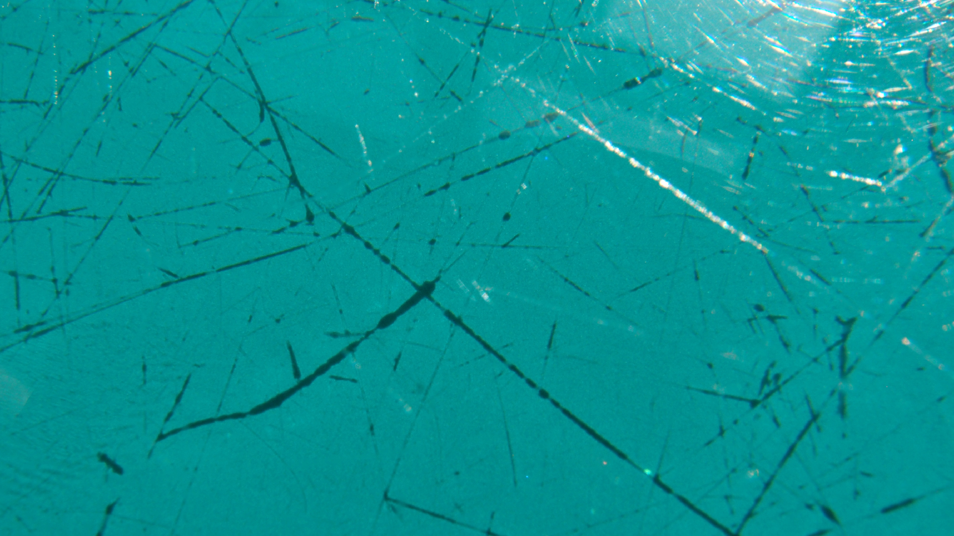 2021-09-30 gr�ner Tisch (Komposition, Typo Grafik)